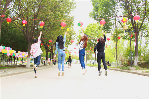 1491370537331344.jpg 图为解语林前的灯笼.jpg